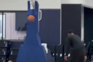 来自中国的拉拉队宝贝！Brooklyn8位小姐姐：多关注篮网